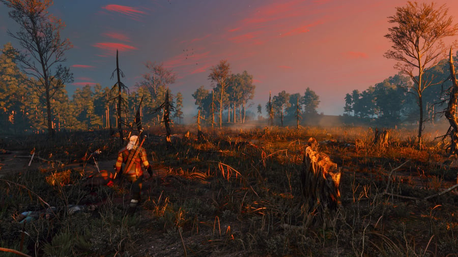 The Witcher 3: Wild Hunt - Complete Edition Review - Screenshot 3 of 6