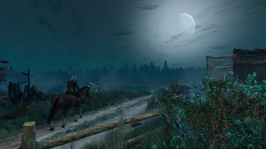 The Witcher 3: Wild Hunt - Complete Edition Review - Screenshot 2 of 6