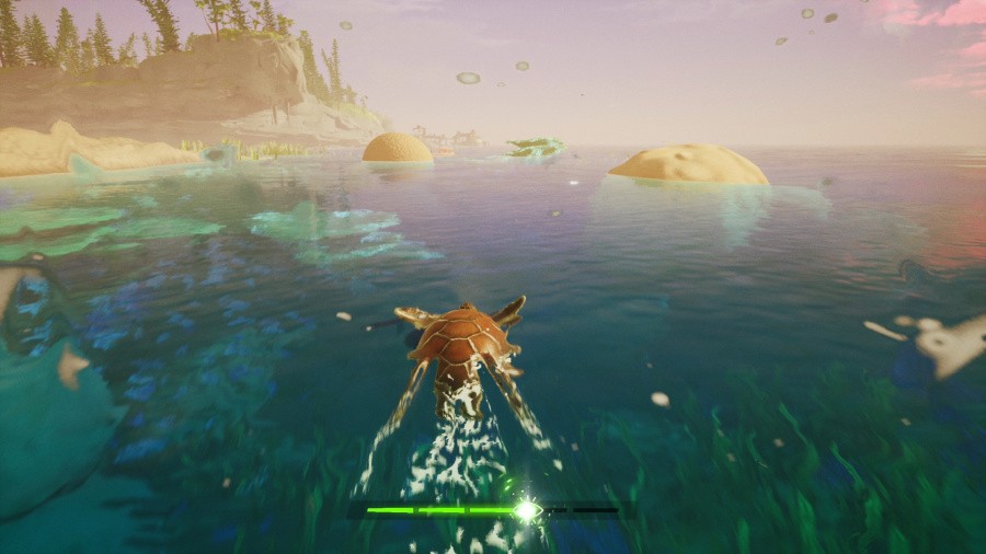 Tchia Review - Screenshot 1 of 3