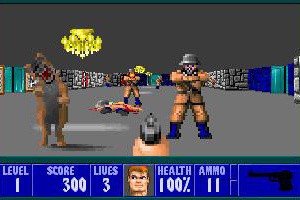 Wolfenstein 3D Screenshot