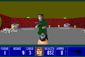 Wolfenstein 3D Screenshot