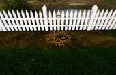Garden Simulator Review - Screenshot 4 of 6