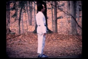 The Making of Karateka Screenshot