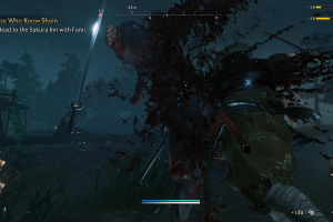 Rise of the Ronin Screenshot