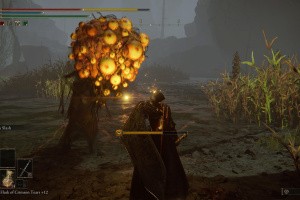 Elden Ring: Shadow of the Erdtree Screenshot