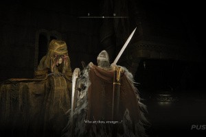 Elden Ring: Shadow of the Erdtree Screenshot