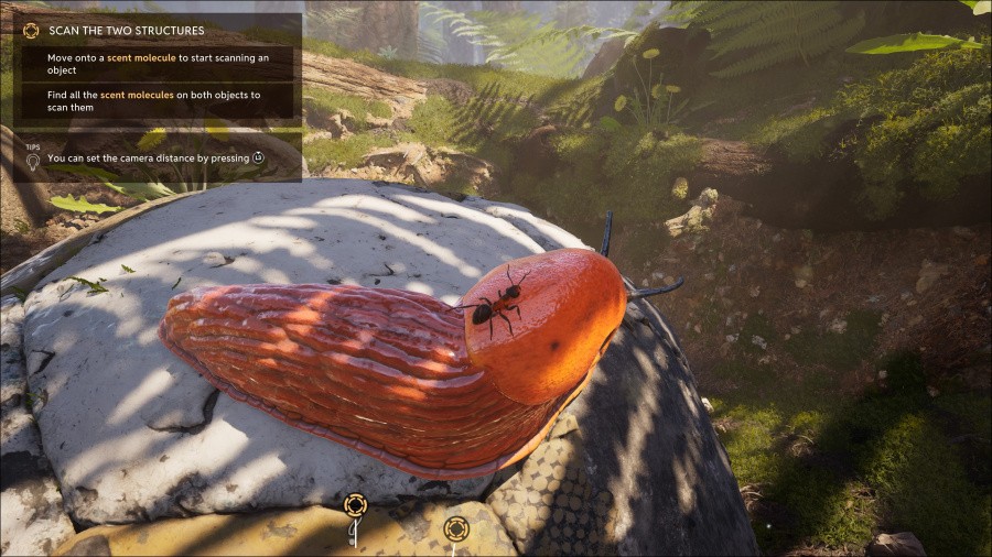 Empire of the Ants Review - Screenshot 8 of 10