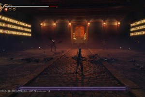 Ninja Gaiden 2 Black Screenshot