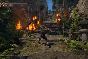 Ninja Gaiden 2 Black Screenshot