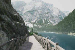 Lushfoil Photography Sim Screenshot