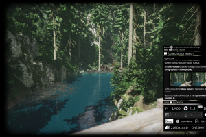 Lushfoil Photography Sim Screenshot