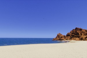 Lushfoil Photography Sim Screenshot