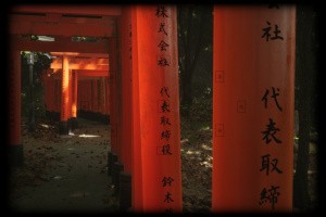 Lushfoil Photography Sim Screenshot