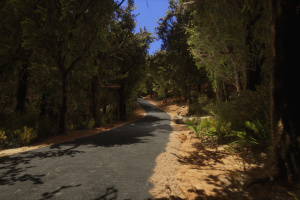 Lushfoil Photography Sim Screenshot