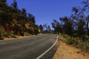 Lushfoil Photography Sim Screenshot