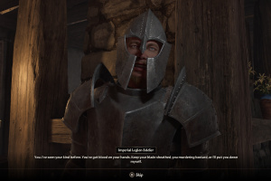 The Elder Scrolls IV: Oblivion Remastered Screenshot