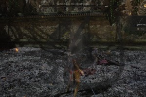 Wuchang: Fallen Feathers Screenshot