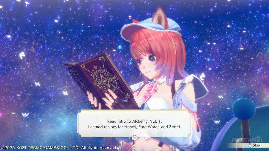 Atelier Resleriana: The Red Alchemist & the White Guardian Review - Screenshot 5 of 5
