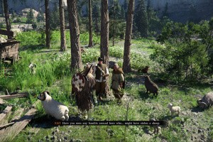 Crimson Desert Screenshot