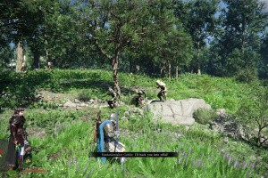 Crimson Desert Screenshot