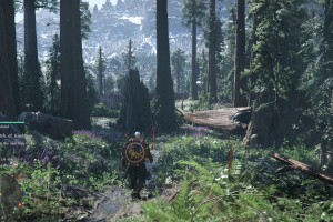 Crimson Desert Screenshot