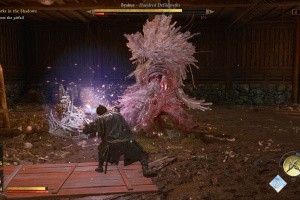 Onimusha: Way of the Sword Screenshot