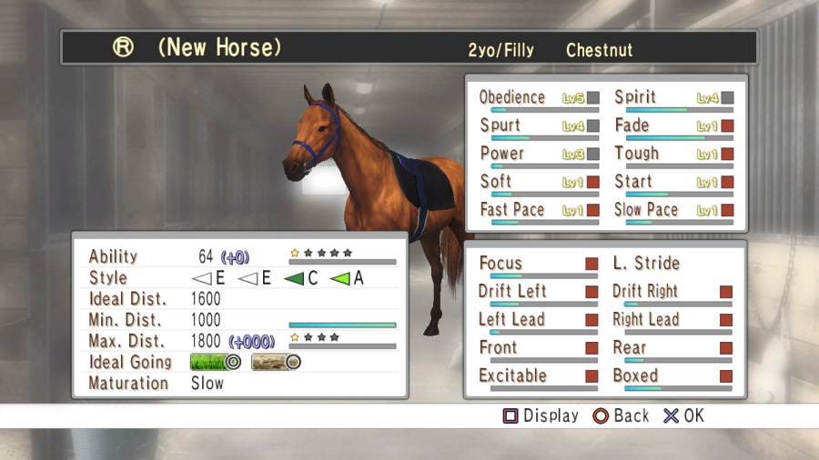 Champion Jockey Screenshot