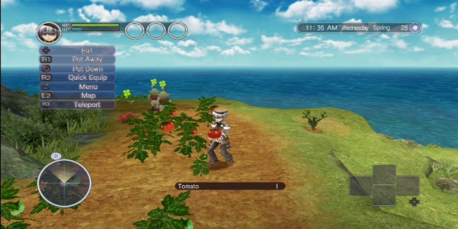 Rune Factory: Tides of Destiny Review - Screenshot 4 of 4