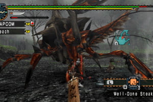 Monster Hunter Freedom Unite Screenshot