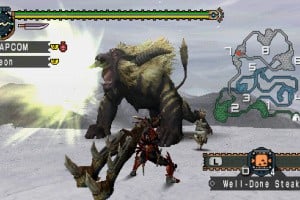 Monster Hunter Freedom Unite Screenshot