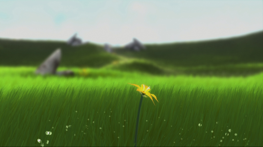 flower Screenshot