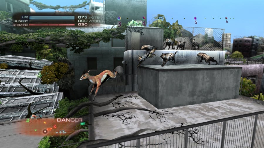 Tokyo Jungle Review - Screenshot 7 of 7