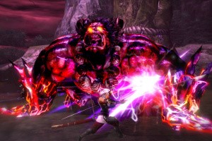 Toukiden: The Age of Demons Screenshot