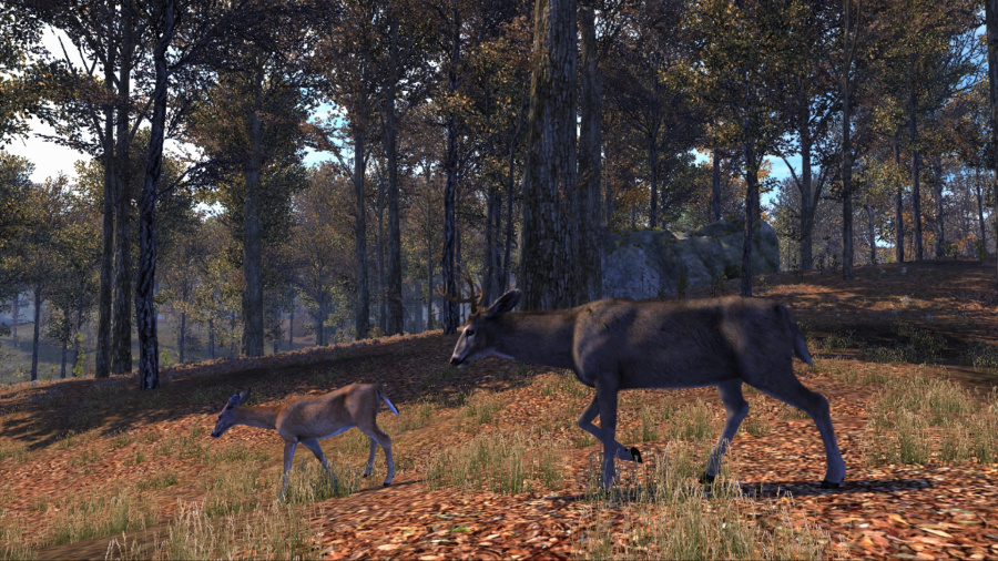 Cabela's Big Game Hunter Pro Hunts Review - Screenshot 2 of 3