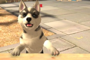 PlayStation Vita Pets Screenshot