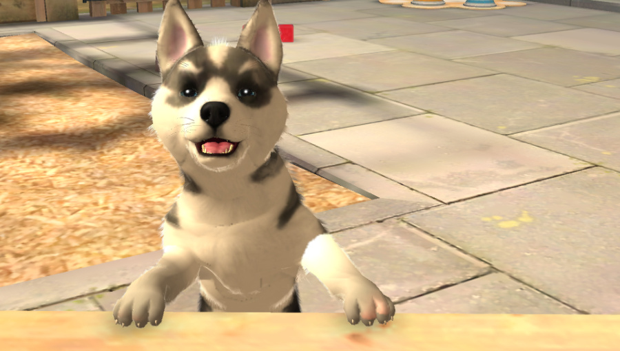 PlayStation Vita Pets Review - Screenshot 3 of 4