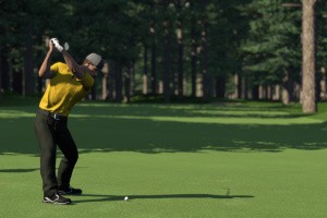 The Golf Club Screenshot