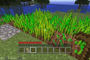 Minecraft: PS Vita Edition Screenshot