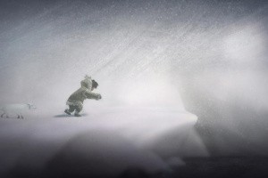 Never Alone Screenshot