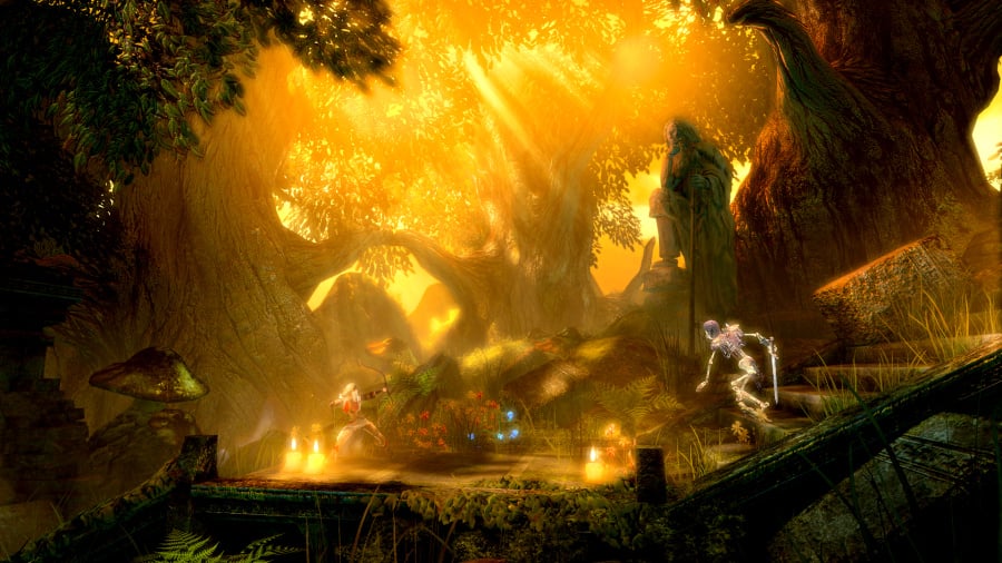 Trine: Enchanted Edition Review - Screenshot 4 of 4