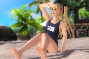 Dead or Alive 5: Last Round Screenshot