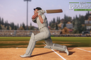 Don Bradman Cricket Screenshot