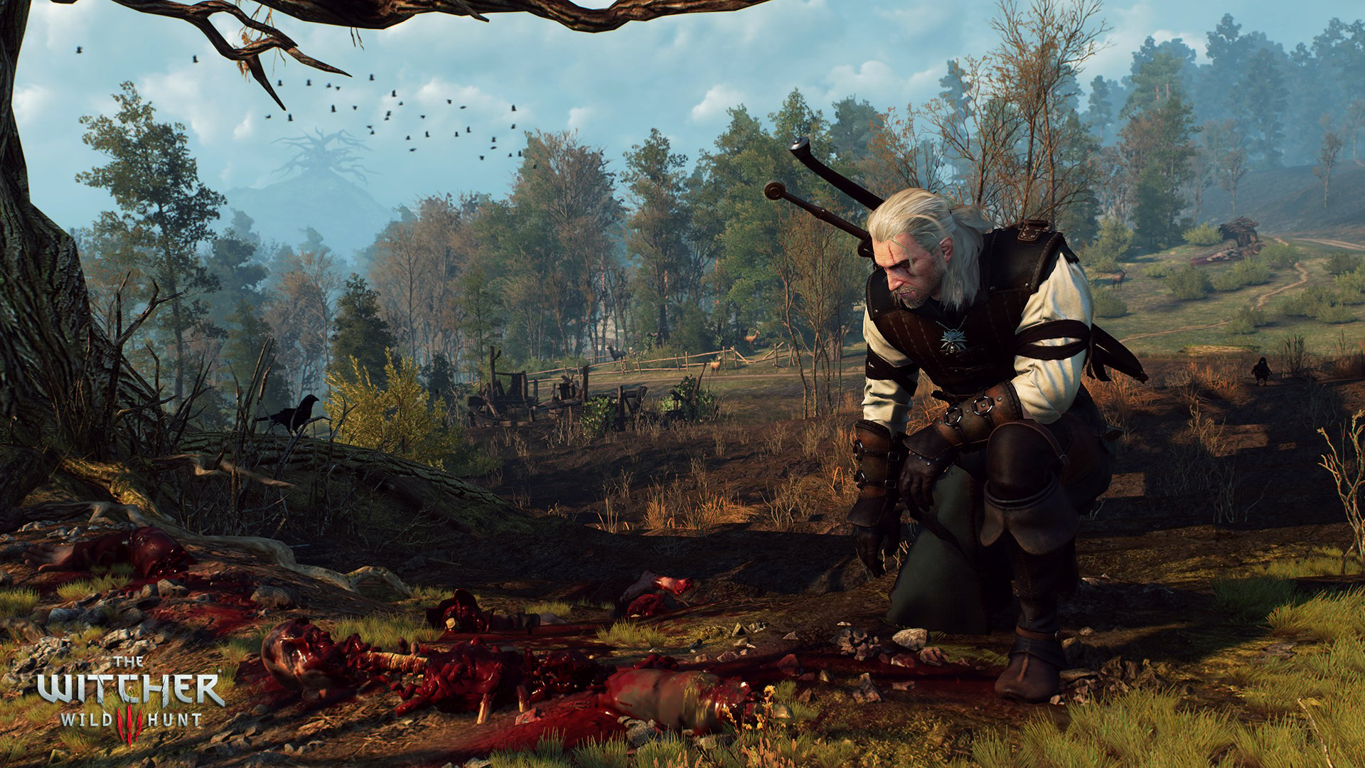 Which The Witcher trilogy's have you personally enjoyed more? There's no  wrong answer : r/witcher