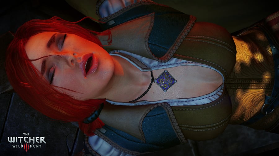 The Witcher 3: Wild Hunt Review - Screenshot 6 of 12
