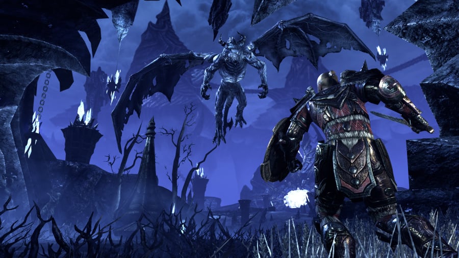 The Elder Scrolls Online: Tamriel Unlimited Review - Screenshot 10 of 11