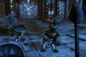 The Elder Scrolls Online: Tamriel Unlimited Screenshot