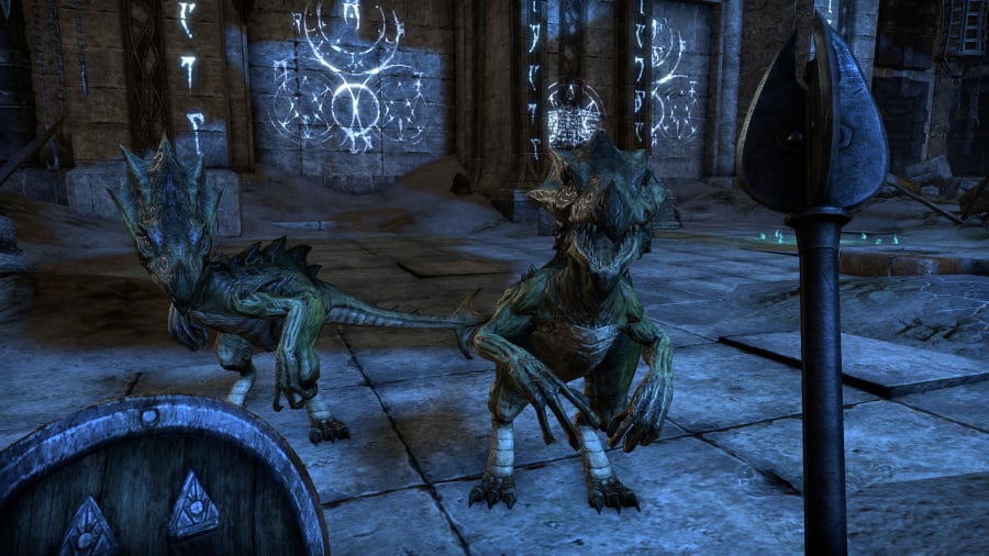 The Elder Scrolls Online: Tamriel Unlimited Review - Screenshot 8 of 11