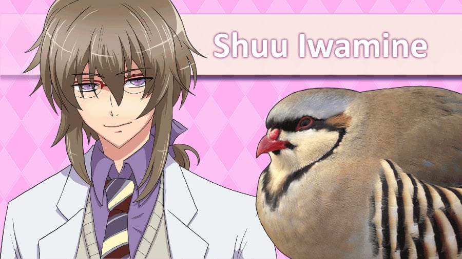 Hatoful Boyfriend Review - Screenshot 2 of 4