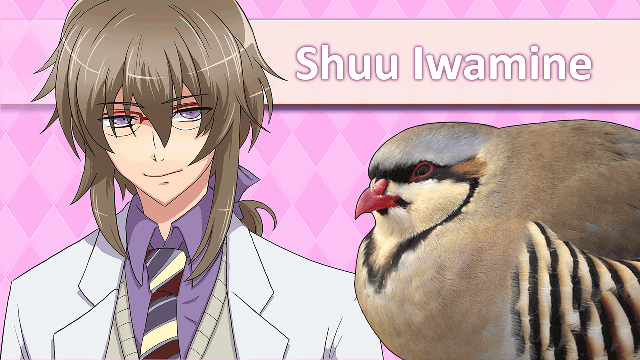 HATOFUL BOYFRIEND OFFICIAL SHOP