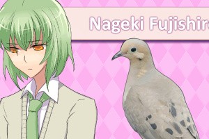 Hatoful Boyfriend Screenshot
